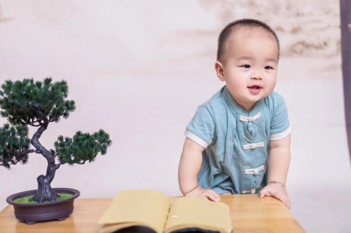 丽水可爱的企鹅宝宝